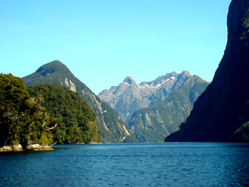 Rotorua Geysers
