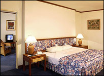 Regency Park Hotel Superior Room