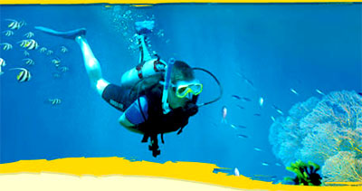 Hilton Cebu Resort and Spa Diving