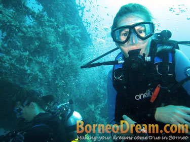 Sabah Borneo Diving